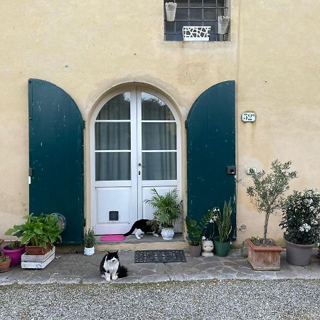 Casa Nel Chianti A Siena Apartment Ponte A Bozzone Ngoại thất bức ảnh